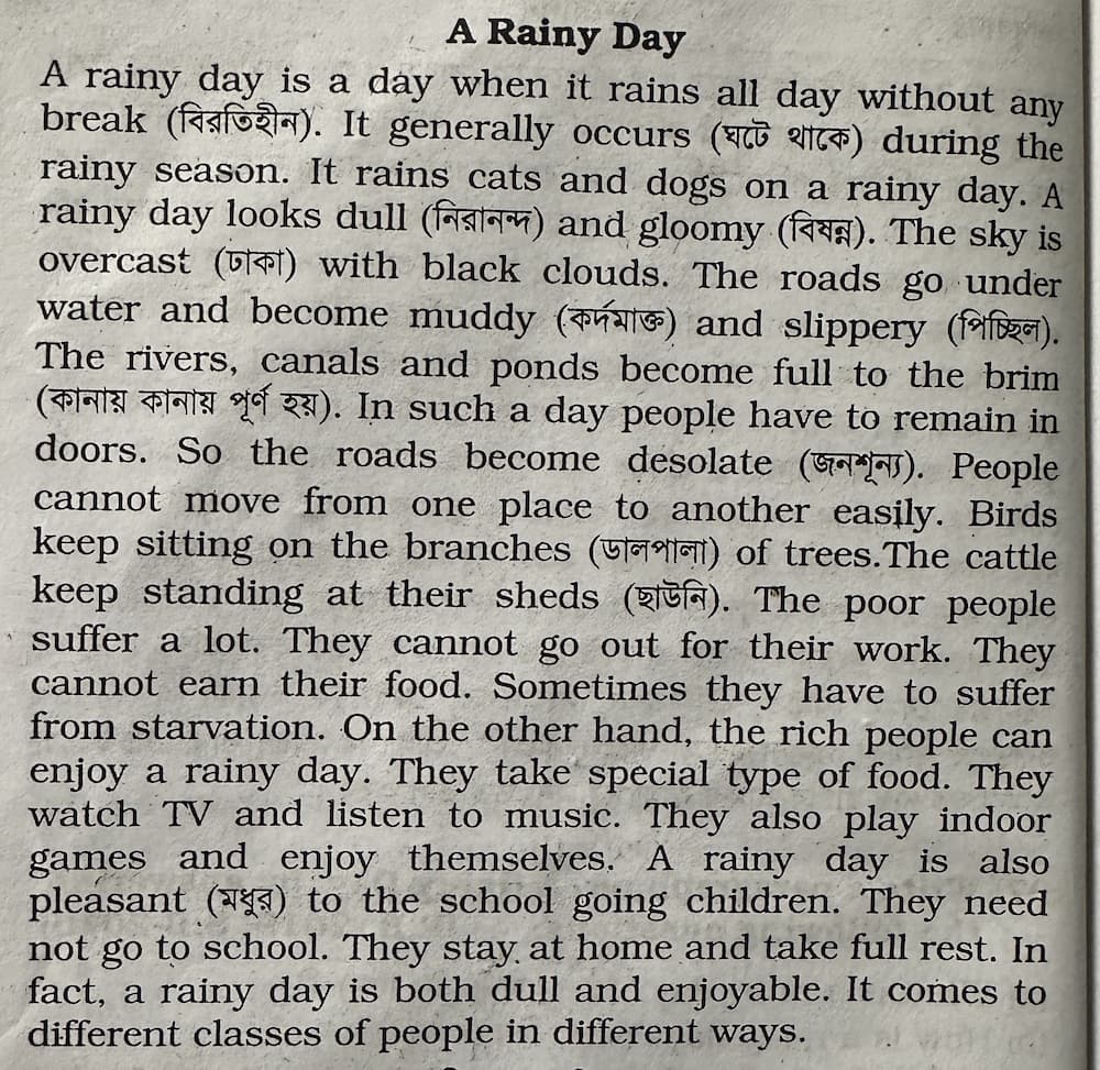 A Rainy Day Paragraph