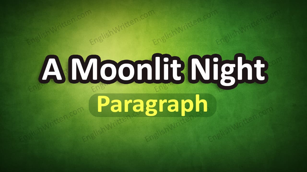 A Moonlit Night paragraph