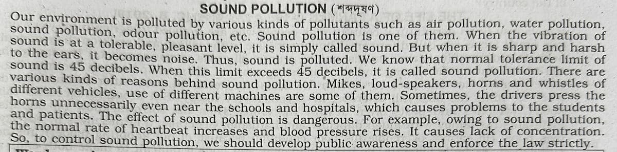 Sound Pollution paragraph