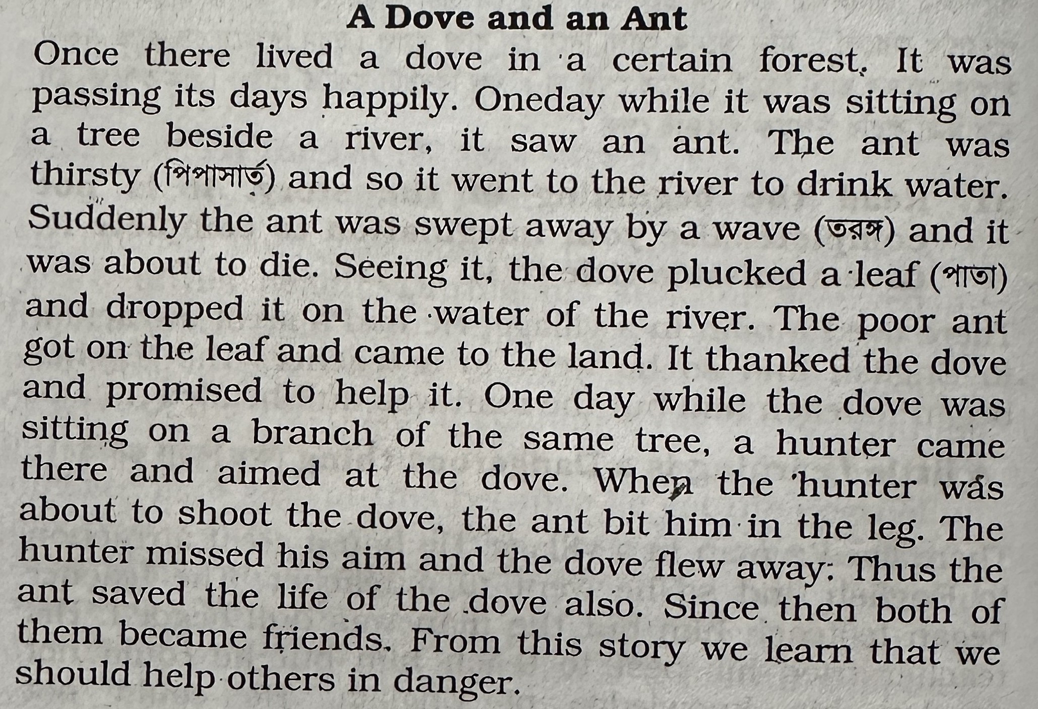 an ant and a dove story